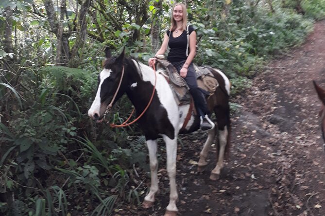 2 Hours Small-Group Horseback Riding Experience in Banos - Return Trip to Meeting Point