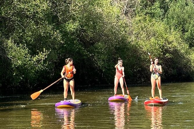 2 Hours SUP Activity on Arda River - Meeting and Pickup
