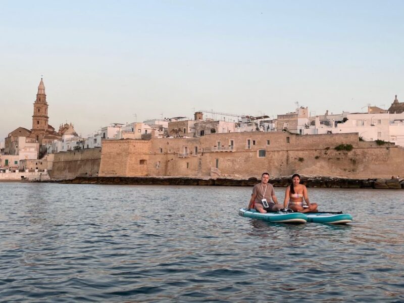 2 Hours SUP Rental - Delivered to You Ready to Use - Since Your Asked