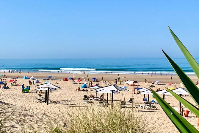 2 Hours Surf Rentals in Costa Da Caparica - Rental Time Options