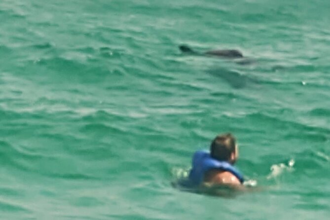 2 Hours Swim With the Dolphins in Panama City - Cancellation Policy