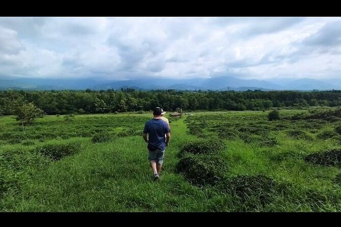 2 Hours Tea House and Tea Garden Trip in Ozurgeti Georgia - Accessibility and Transportation