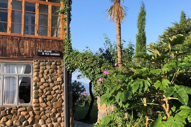 2 Hours Tea House and Tea Garden Trip in Ozurgeti Georgia - Review Highlights