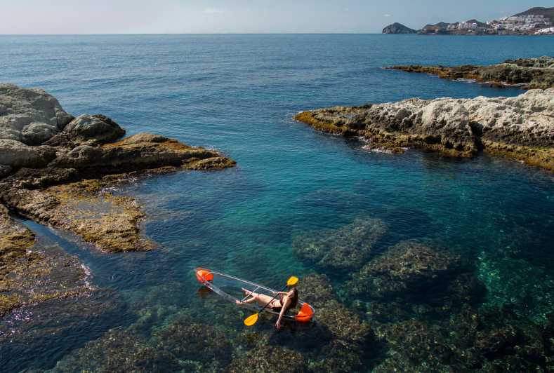 2 Hours Tour - Transparent Kayak Tour - Key Points