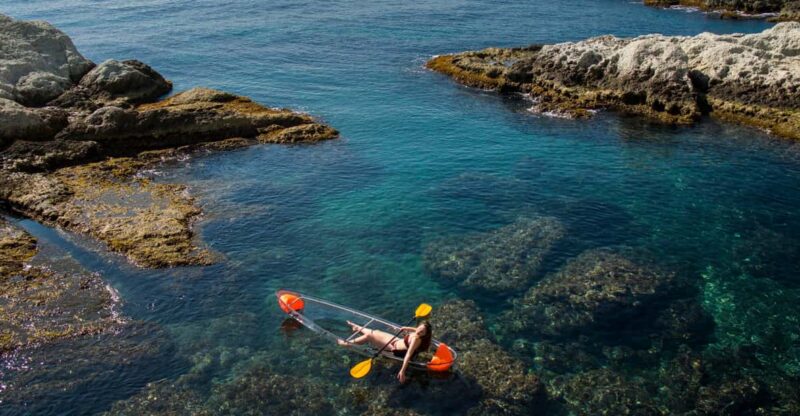 2 Hours Tour - Transparent Kayak Tour - Experience Highlights