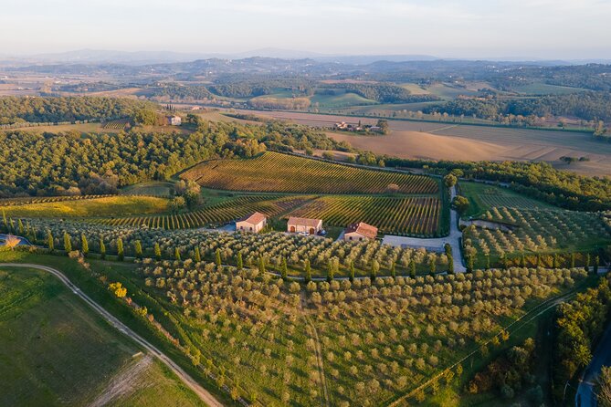 2 Hours Visit and Wine Tasting With Tastings in Val DORCIA - Customer Reviews and Feedback