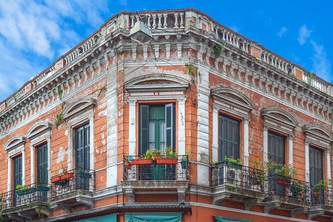 2 Hrs. Walking Tour in San Telmo & Market  - Inclusions and Accessibility