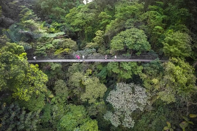 2-in-1 Arenal Hanging Bridges + La Fortuna Waterfall - Included in the Tour