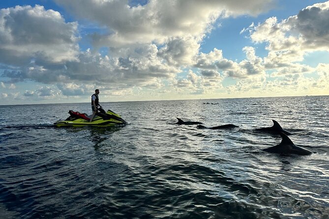 2 Jetski Half Day Guided Tour in Sarasota County - Operating Hours