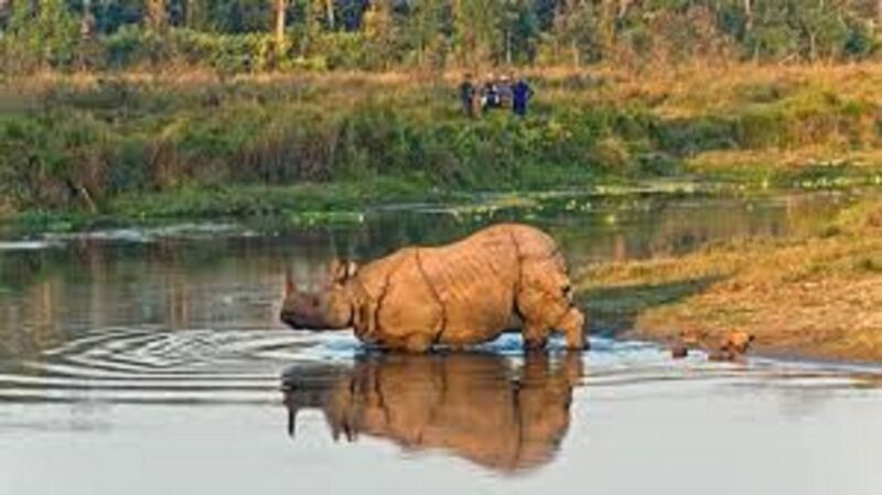 2 N 3 Days Chitwan Tour Package From Pokhara or Kathmandu - Included and Excluded