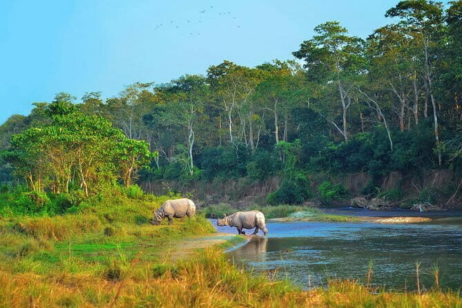 2 Night 3 Day Chitwan Jungle Safari Tour from Pokhara - Introducing the 2 Night 3 Day Chitwan Jungle Safari Tour from Pokhara