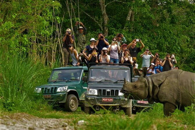 2 Night 3 Day Chitwan Jungle Safari Tour from Pokhara - The Itinerary in Detail