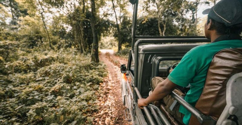 2 Night 3 Day Chitwan Jungle Safari Tour Package - Daily Itinerary
