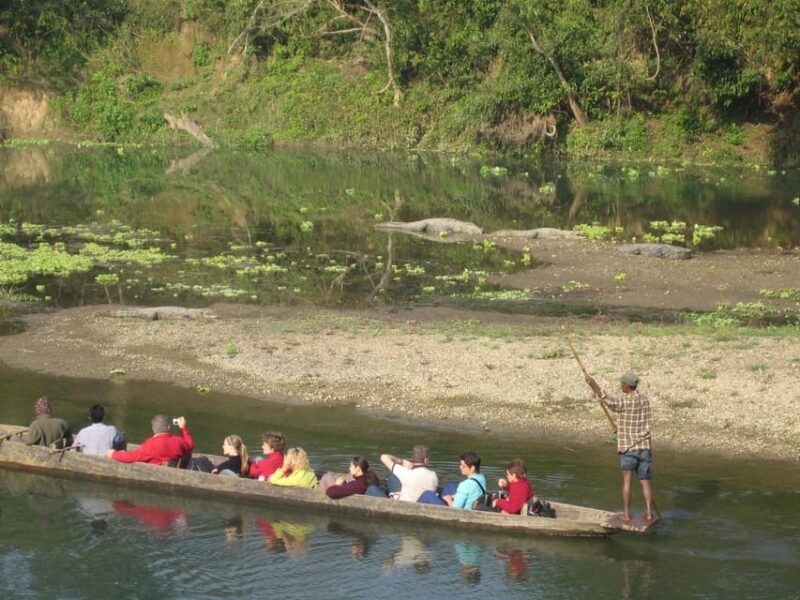 2 Night 3 Days Chitwan Jungle Safari Tour - Included Activities