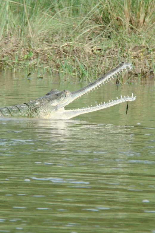 2 Night 3 Days Chitwan Jungle Safari Tour - Packing Recommendations
