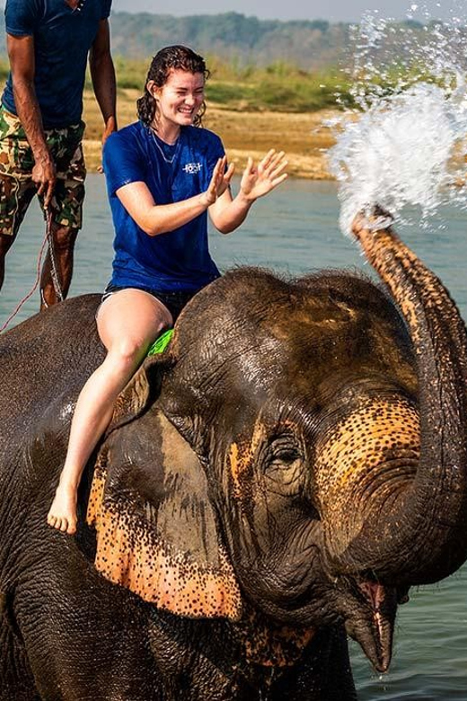 2 Night 3 Days Chitwan National Park/From Kathmandu/Pokhra - Cultural Immersion