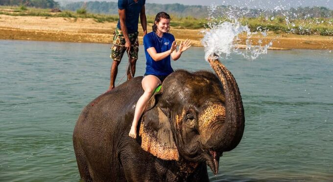 2 Night 3 Days Chitwan National Park/From Kathmandu/Pokhra - Planning and Recommendations