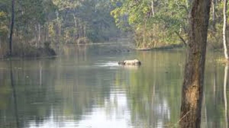 2 Night 3 Days Chitwan National Park Tour From Kathmandu - Chitwan National Park Highlights