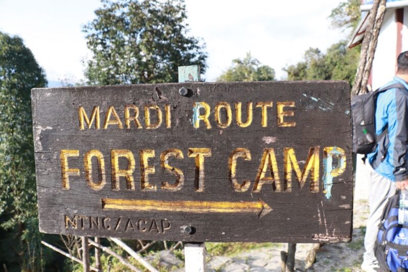 2 Night 3 Days Mardi Himal Trek From Pokhara - Difficulty and Experience