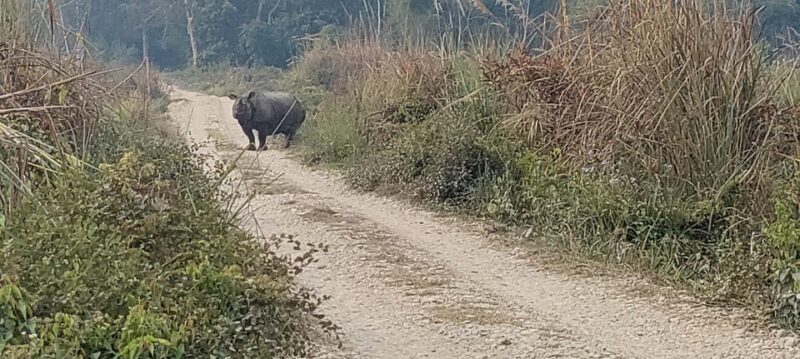 2 Night 3 Days Safari Tour in Chitwan National Park - Wildlife and Biodiversity