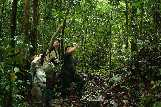2-Night Danum Valley Borneo Rainforest Lodge Hiking and Wildlife Adventure - Accommodations and Location