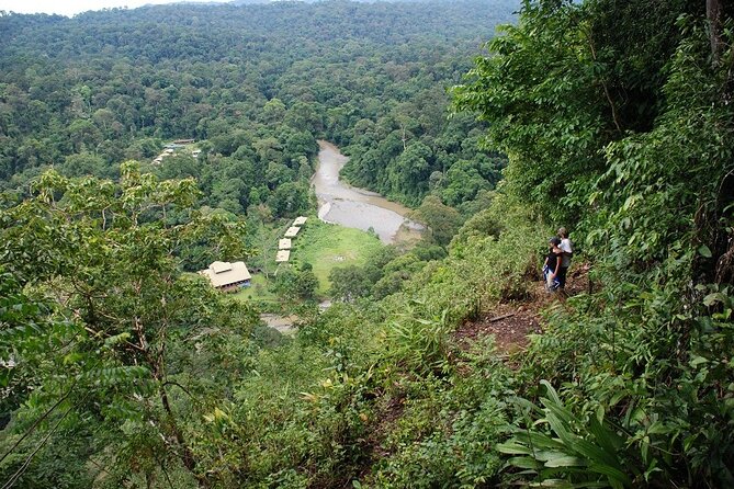 2-Night Danum Valley Borneo Rainforest Lodge Hiking and Wildlife Adventure - Nocturnal Wildlife Encounters