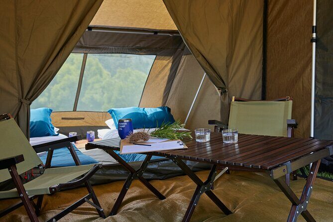 2 Night Rainforest Glamping Adventure near Byron Bay - Exploring the 2 Night Rainforest Glamping Adventure near Byron Bay