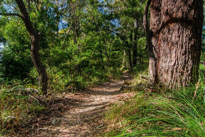 2 Night Rainforest Glamping Adventure near Byron Bay - FAQ