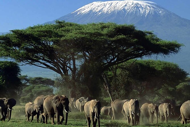 2 Nights 3 Days Amboseli National Park - Key Points
