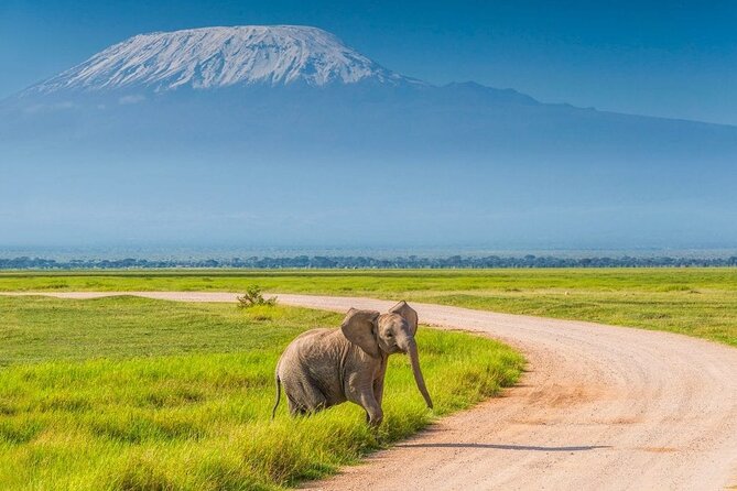 2 Nights 3 Days Amboseli National Park - What to Expect