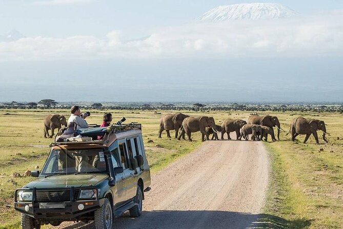 2 Nights 3 Days Amboseli National Park - Booking Information