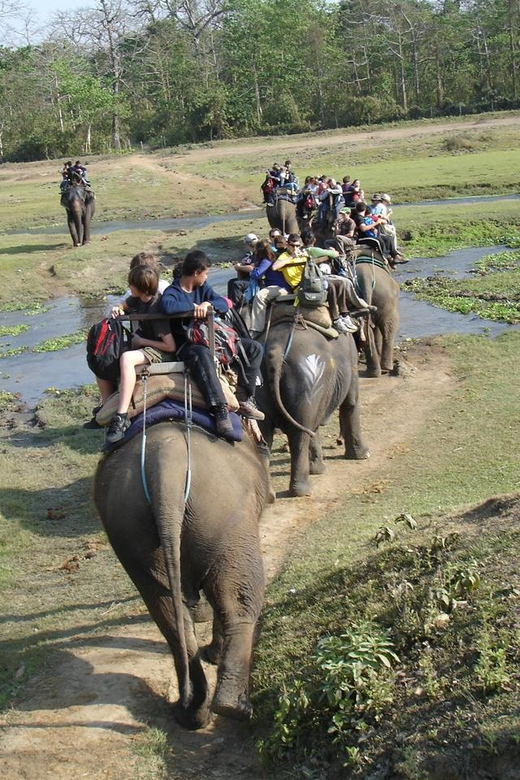2 Nights 3 Days Chitwan Jungle Safari Package All Inclusive - Key Points