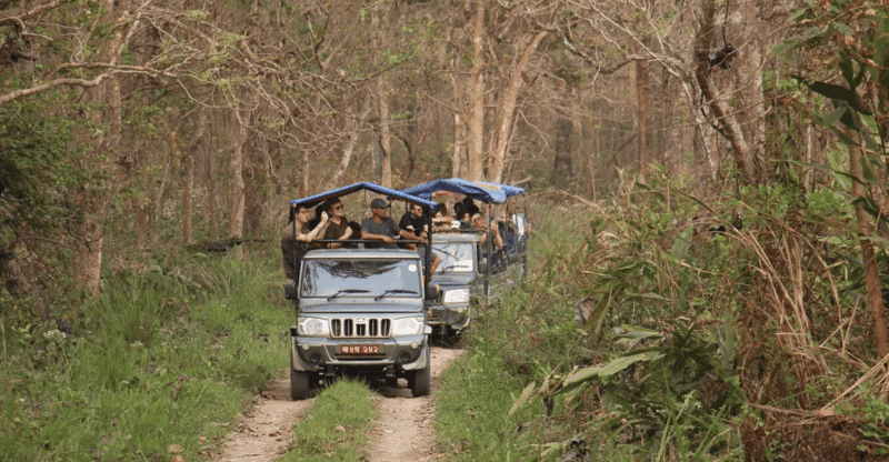 2 Nights 3 Days Chitwan Jungle Safari Package All Inclusive - Detailed Itinerary