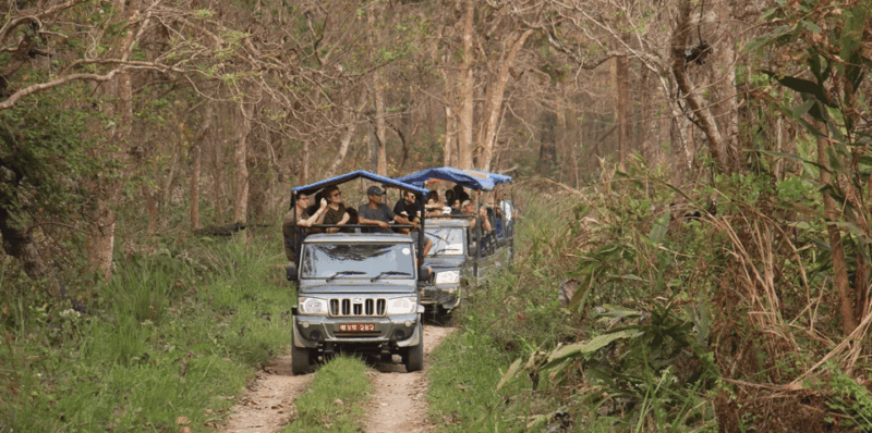 2 Nights 3 Days Chitwan Jungle Safari Package All Inclusive - Exclusions