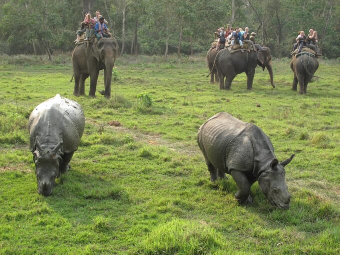 2 Nights 3 Days Chitwan Jungle Safari Package All Inclusive - Wildlife and Safaris