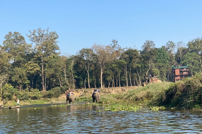 2 Nights 3 Days Chitwan Jungle Safari Tour - Reviews and Ratings