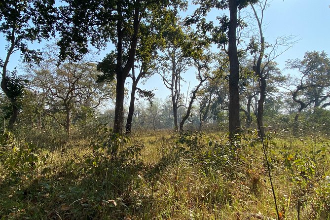2 Nights 3 Days Chitwan Jungle Safari Tour - Highlights of Chitwan National Park
