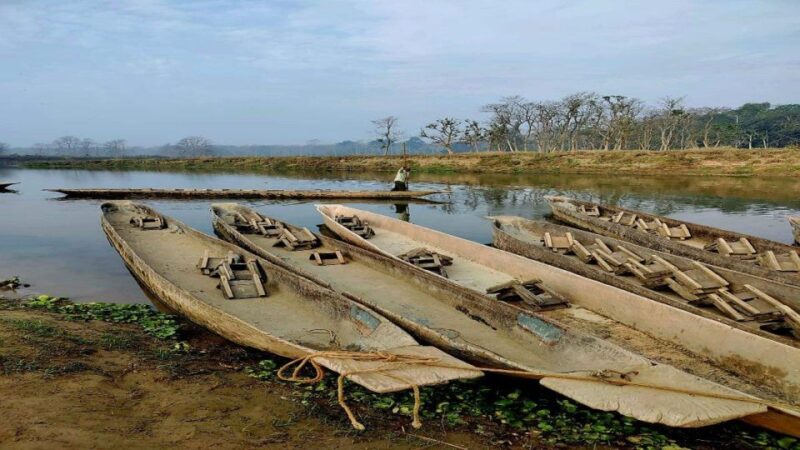 2 Nights 3 Days Chitwan Jungle Safari Tour - Activities Included
