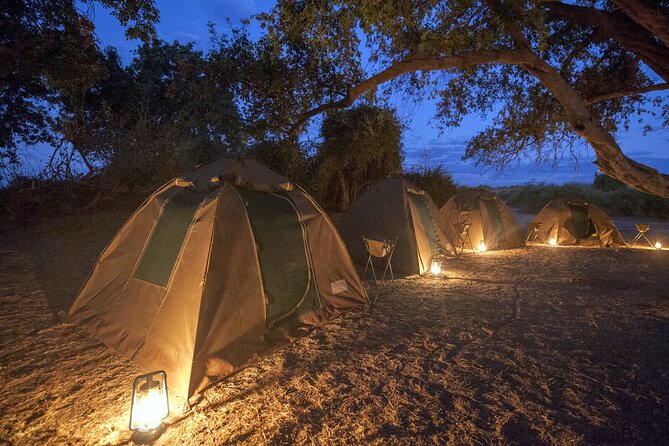 2 Nights 3 Days Chobe Safari Ex Livingstone/ Victoria Falls - Accessibility and Fitness Requirements