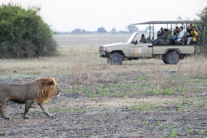 2 Nights 3 Days Chobe Safari Ex Livingstone/ Victoria Falls - Highlights From Guest Reviews