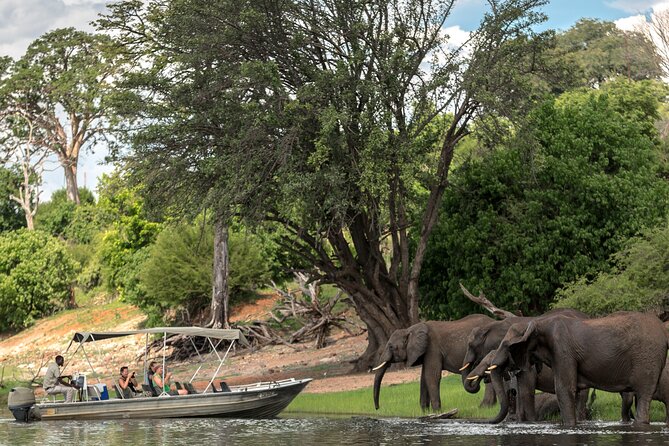 2 Nights 3 Days Chobe Safari Ex Livingstone/ Victoria Falls - Itinerary and Safari Activities