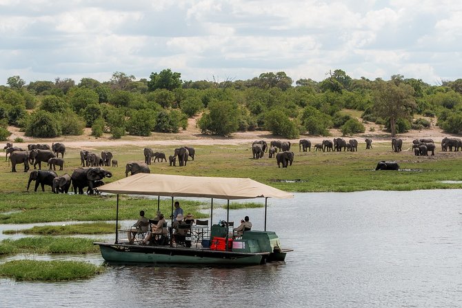 2 Nights 3 Days Chobe Safari Ex Livingstone/ Victoria Falls - Safari Destination and Environment