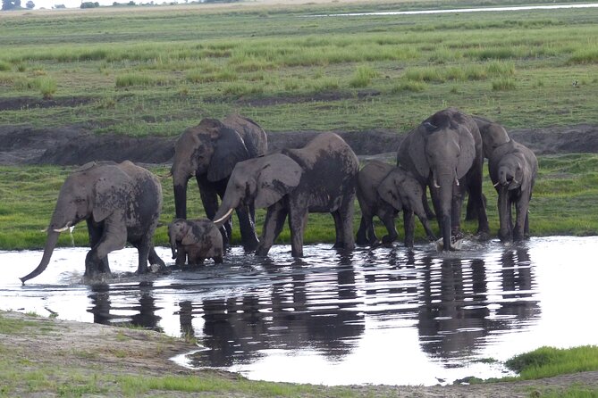 2 Nights 3 Days Overnight Mokoro Trail Okavango Delta - Schedule and Duration