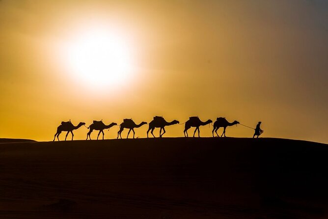 2 Nights Camel Riding in Merzouga - Meeting and Additional Information