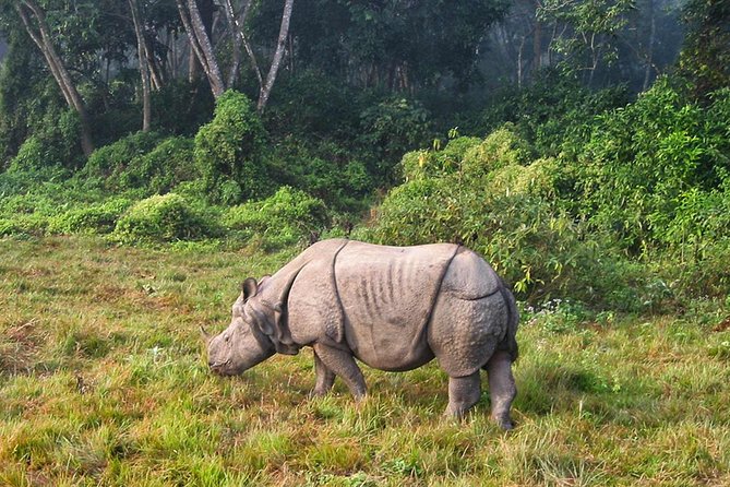 2 Nights Chitwan Jungle Safari Tour From Kathmandu or Pokhara - Accommodation and Meals