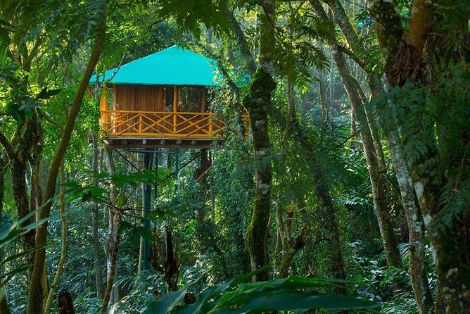 2 Nights Munnar Treehouse Escape With Private Car- Iris Holidays - Booking and Eligibility