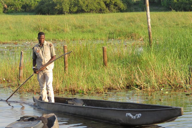2 Nights Okavango Delta Mokoro Wildcamping Tour, All-Inclusive - Tour Inclusions