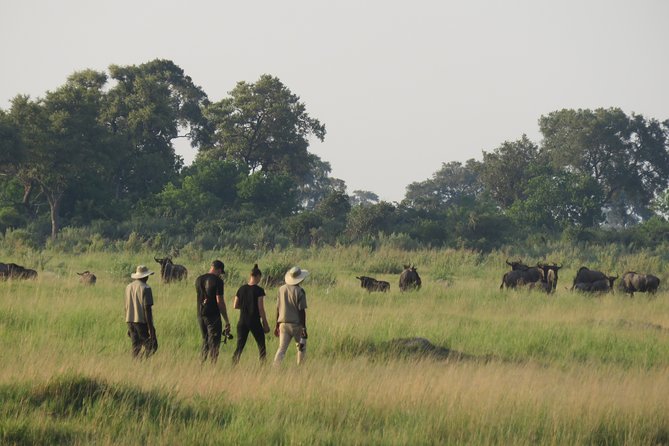 2 Nights Okavango Delta Mokoro Wildcamping Tour, All-Inclusive - Tour Logistics and Accessibility