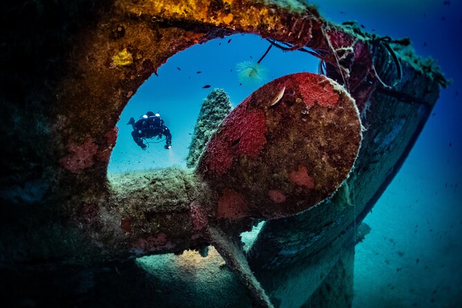 2 Scuba Fun Dives for Certified Divers in St Pauls Bay - Key Points