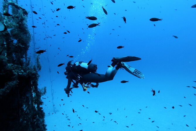 2 Scuba Fun Dives for Certified Divers in St Pauls Bay - Included in the Package